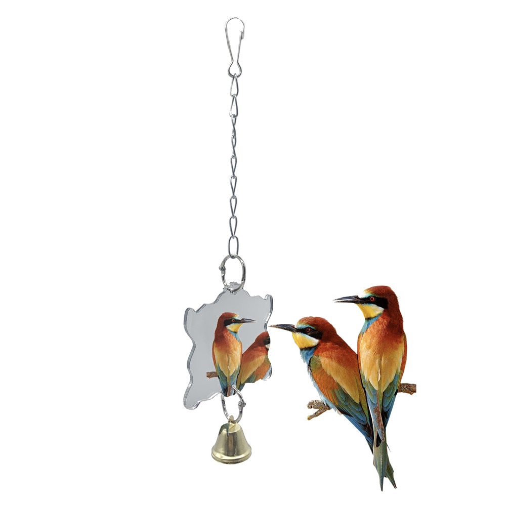Parrots Toys And Bird Accessories Parrots Toys And Bird Accessories