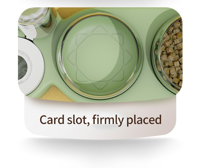 Pet  Automatic Feeder Pet  Automatic Feeder