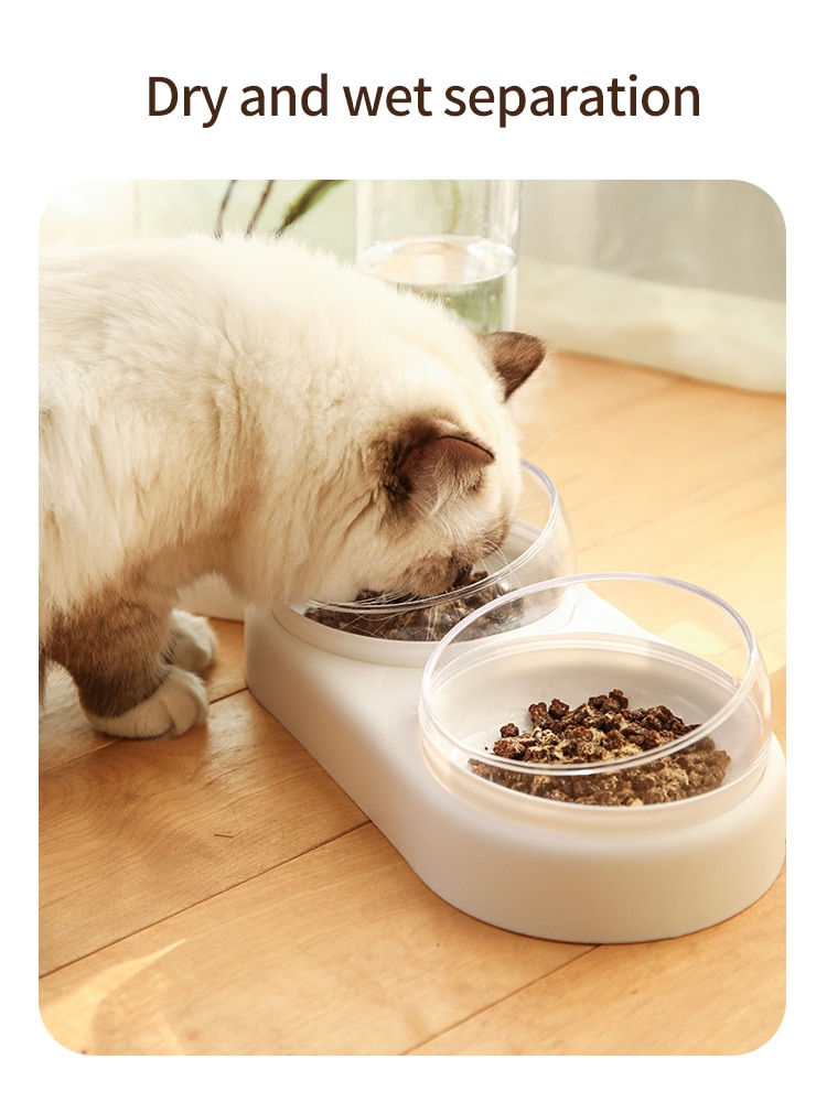 Pet Automatic Feeder Pet Automatic Feeder