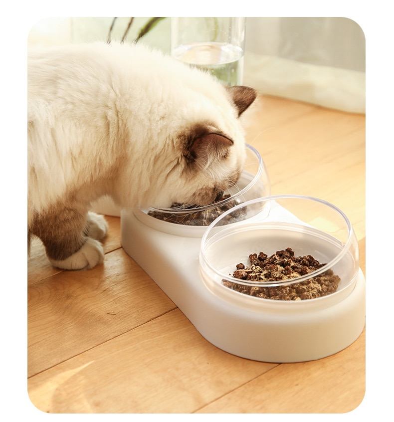 Pet  Automatic Feeder Pet  Automatic Feeder