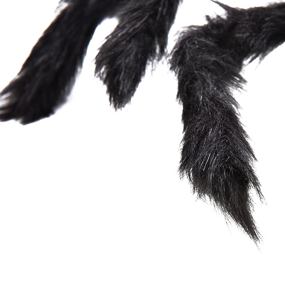 Spider Halloween Decor in different sizes